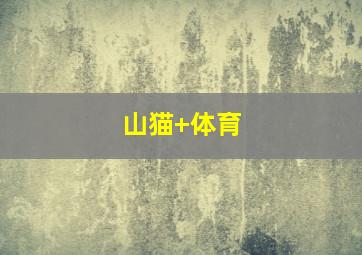 山猫 体育